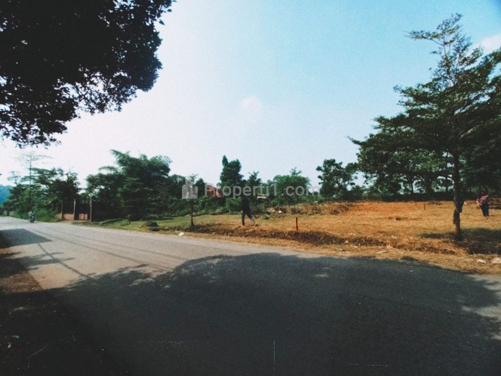 Dijual Tanah Murah 10 Menit Kampus IPB Dramaga Bogor, Bisa Dicicil 12x Tanpa Bunga