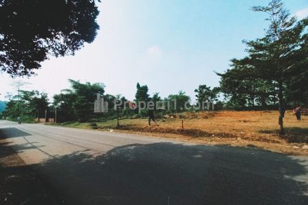 Dijual Tanah Murah 10 Menit Kampus IPB Dramaga Bogor, Bisa Dicicil 12x Tanpa Bunga