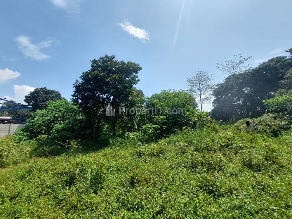 Dijual Tanah Murah di Bogor, 10 Menit Citraland Cibubur, Promo 1 Jt-an/m2