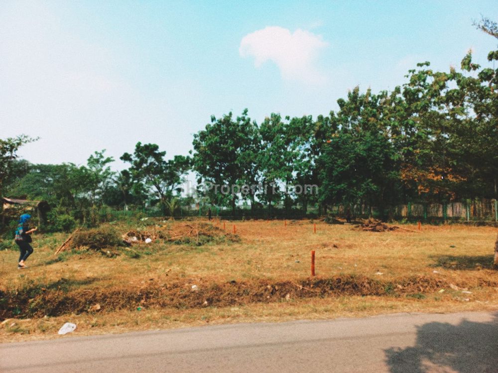 Dijual Tanah Murah 10 Menit Kampus IPB Dramaga Bogor, Bisa Dicicil 12x Tanpa Bunga