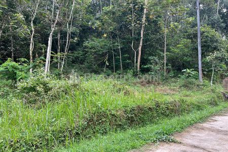 Dijual Pekarangan Datar 3820m² Siap Bangun di Karangpandan, Karanganyar