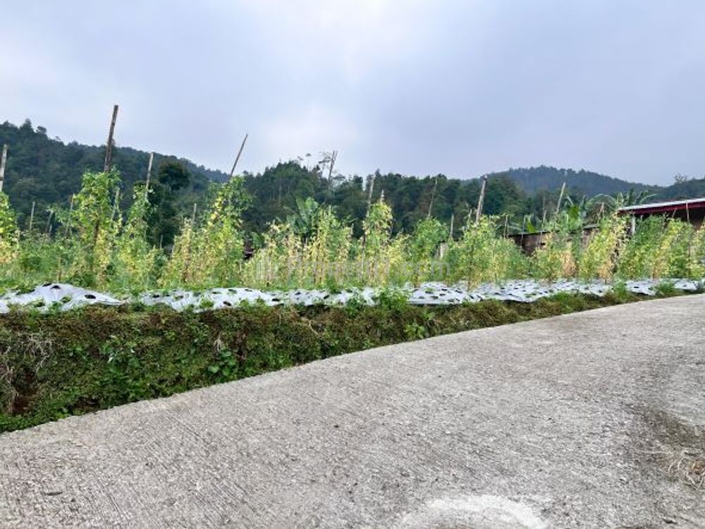 Dijual Tanah Kawasan Wisata 750m2 Kemuning Karanganyar Jawa Tengah