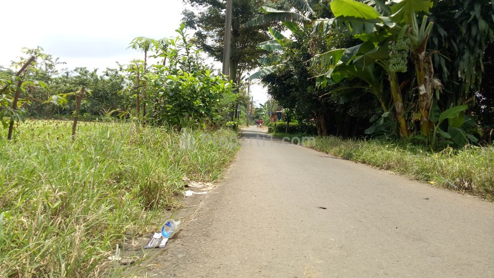 Dijual Tanah Kavling di Bogor, 15 Menit Stasiun Cilebut Siap Akad