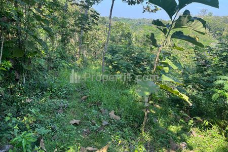 Dijual Tanah 100 Juta Cocok untuk Kebun Buah di Sragen