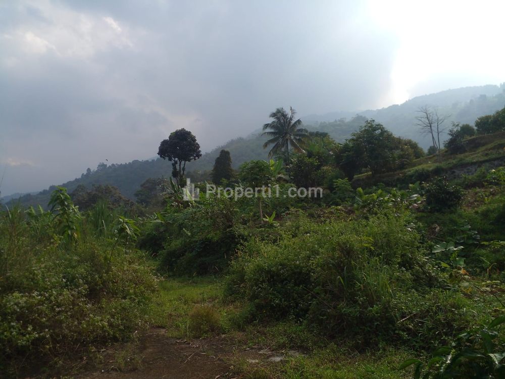 Dijual Tanah Murah 5 Menit Jalan Raya Cijeruk Bogor, Terima SHM Pecah Unit