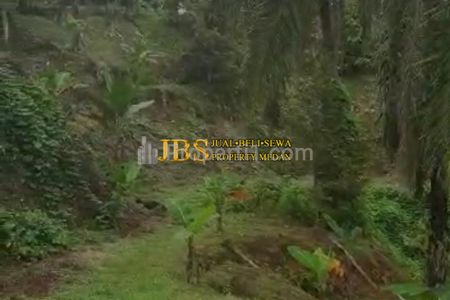 Jual Tanah Kebun di Desa Tarean Kec. Silinda, Kab. Serdang Bedagai, Sumatera Utara - Dekat Jalan Utama
