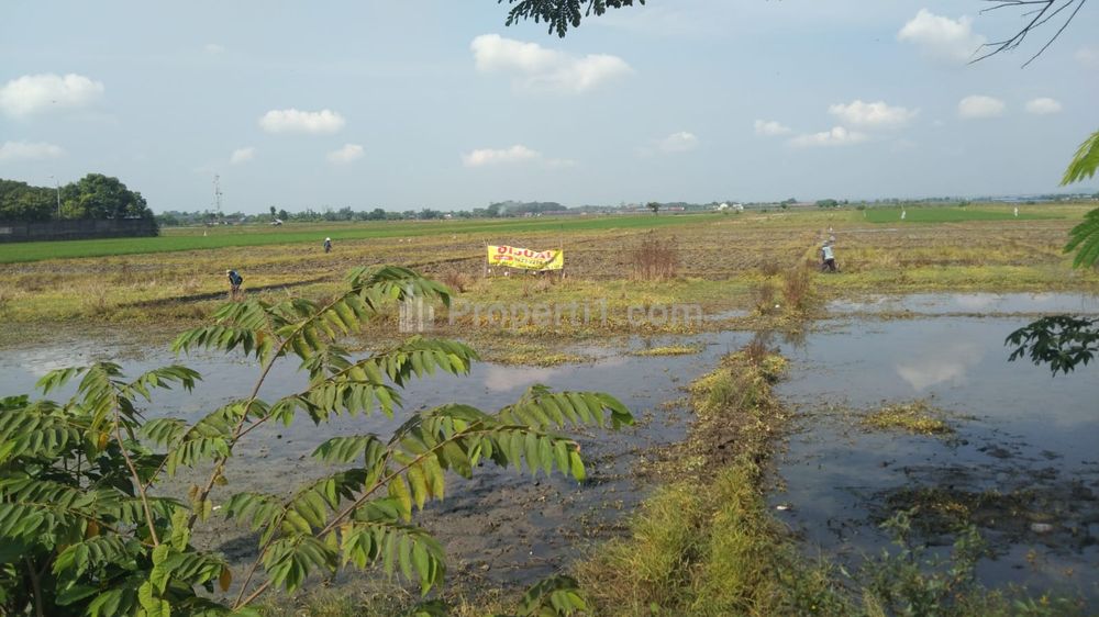 Dijual Tanah untuk Ruang Usaha atau Gudang Pinggir Jalan Pantura Pemalang Jawa Tengah