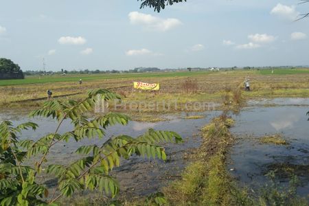 Dijual Tanah untuk Ruang Usaha atau Gudang Pinggir Jalan Pantura Pemalang Jawa Tengah
