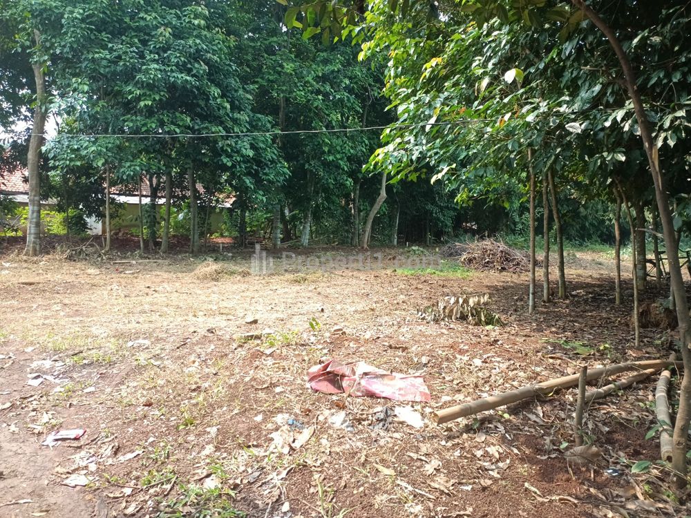 Jual Kavling di Lokasi Prime Cileungsi Bogor, Jangan Lewatkan Kesempatan Ini