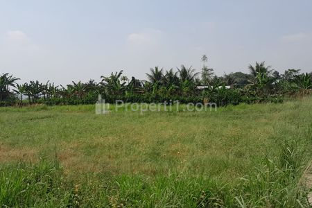 Dijual 2 km Stasiun Cigombong Bogor, Tanah Murah Promo 900 Ribu-an/m2