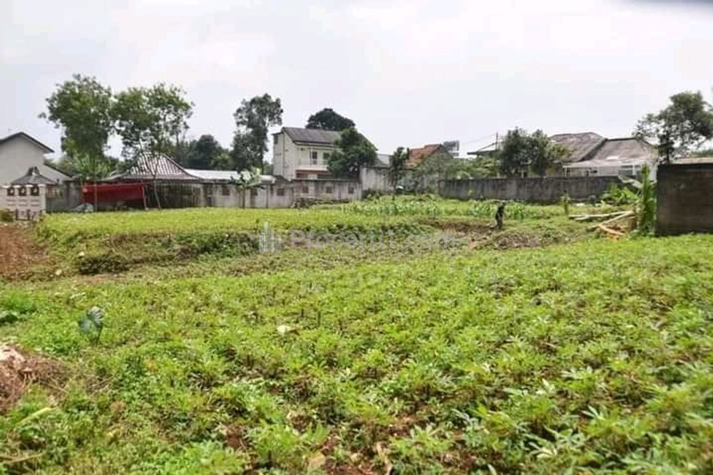 Tanah Dijual Dekat Kampus IPB Bogor, Cicil 12x Bebas Bunga
