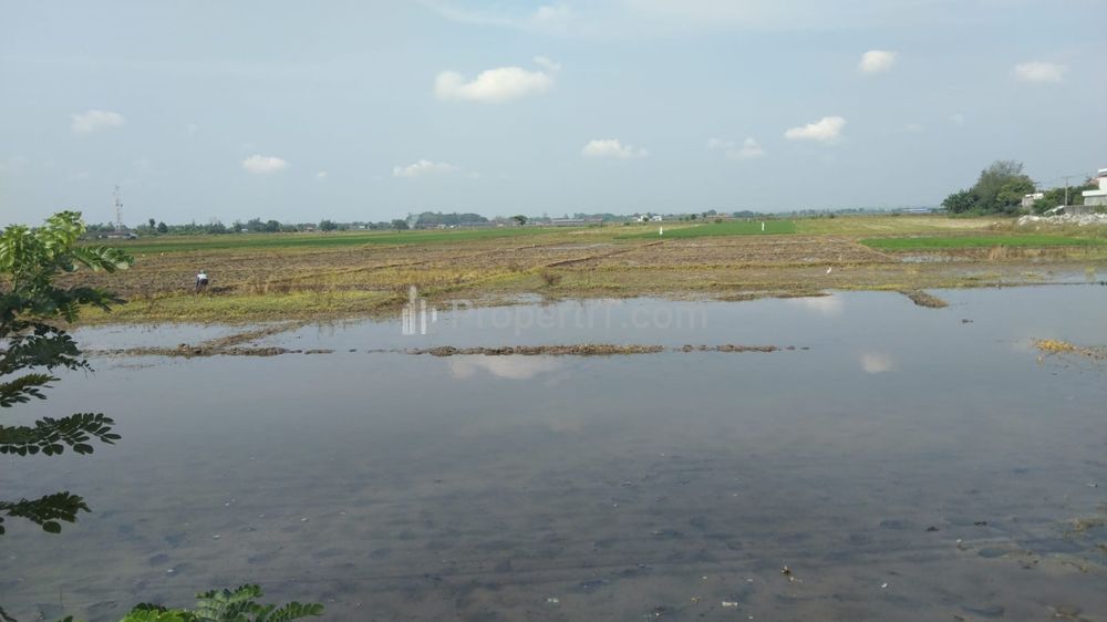 Dijual Tanah untuk Ruang Usaha atau Gudang Pinggir Jalan Pantura Pemalang Jawa Tengah