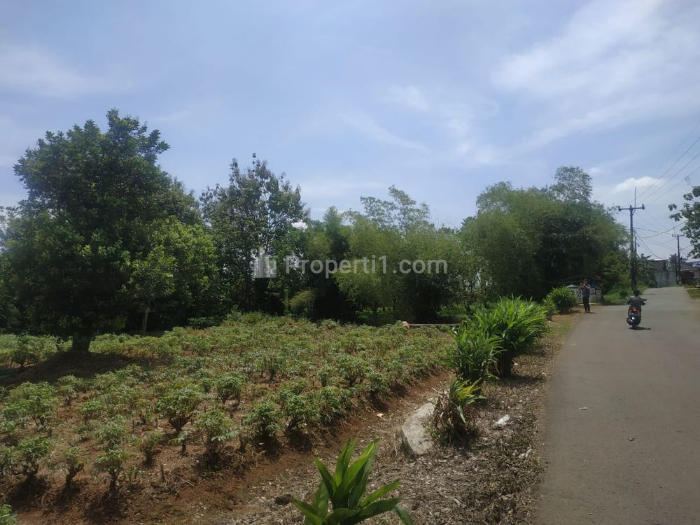 Dijual 1 km ke Kantor Desa Candali Bogor, Tanah Murah Promo 1 Jt-an/m2