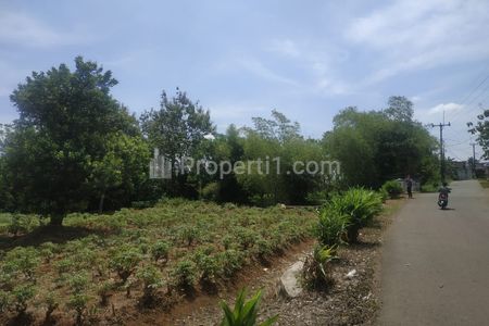 Dijual 1 km ke Kantor Desa Candali Bogor, Tanah Murah Promo 1 Jt-an/m2