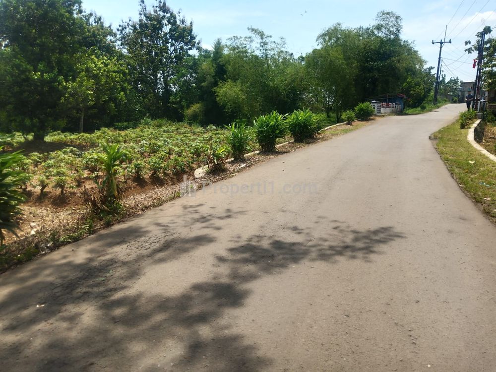 Dijual 1 km ke Kantor Desa Candali Bogor, Tanah Murah Promo 1 Jt-an/m2
