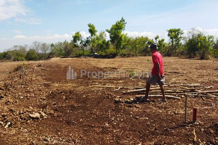 Dijual Tanah Murah Besar Luas 3,5 Hektar di Gresik Jawa Timur