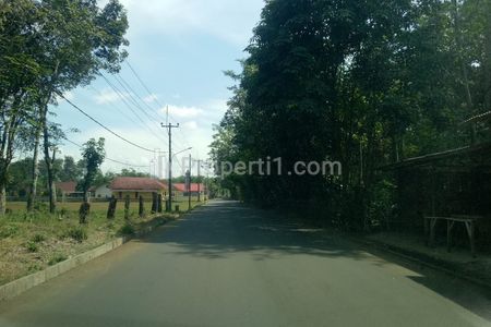 Dijual Tanah Kavling Murah di Bogor, 5 Menit Pasar Tradisional Gobang Free SHM