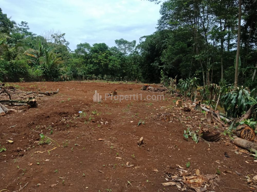 Dijual Tanah Kavling Murah di Bogor, 5 Menit Pasar Tradisional Gobang Free SHM