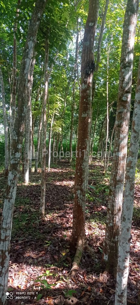 Dijual Tanah Datar 2895m² 650 Juta di Karangpandan Karanganyar