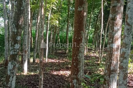 Dijual Tanah Datar 2895m² 650 Juta di Karangpandan Karanganyar