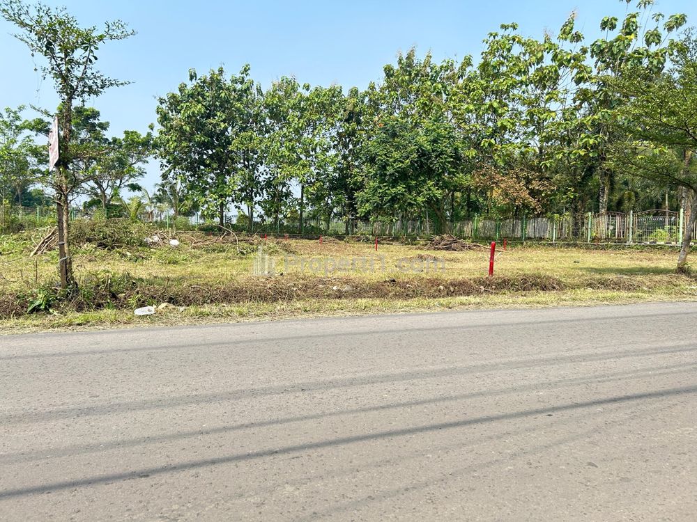 Dijual Tanah Kavling Kost 5 Menit Kampus IPB Bogor Terima SHM Pecah Unit