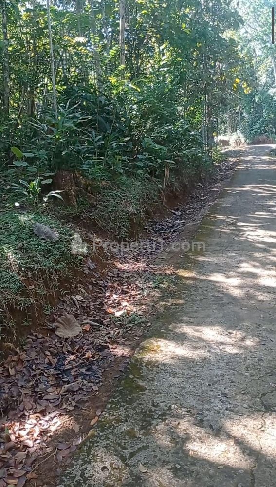 Dijual Tanah Datar 2895m² 650 Juta di Karangpandan Karanganyar