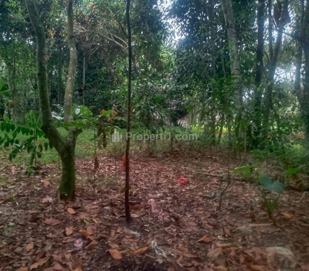 Dijual Tanah Murah 5 Km Alun-Alun Setu Bekasi - Promo 900 Ribuan/m2