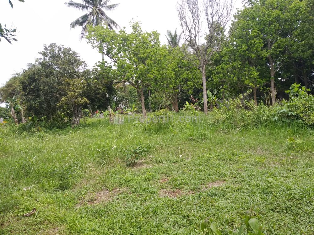 Tanah Dijual Dekat Terminal Cileungsi Bogor, Cicil 12x Bebas Bunga