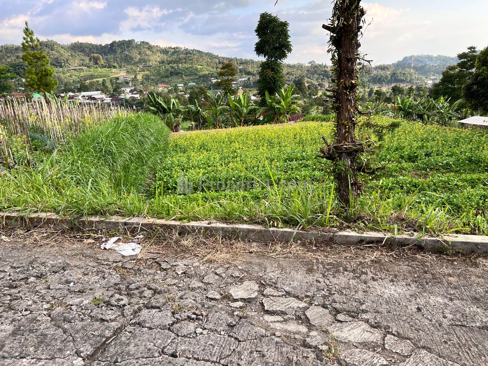 Dijual Tanah Lingkungan Wisata 700m² Istimewa Karangpandan, Karanganyar