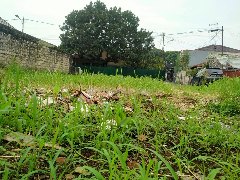 Dijual Tanah Kavling Dekat Stasiun Bogor Cicil 12x Bebas Bunga