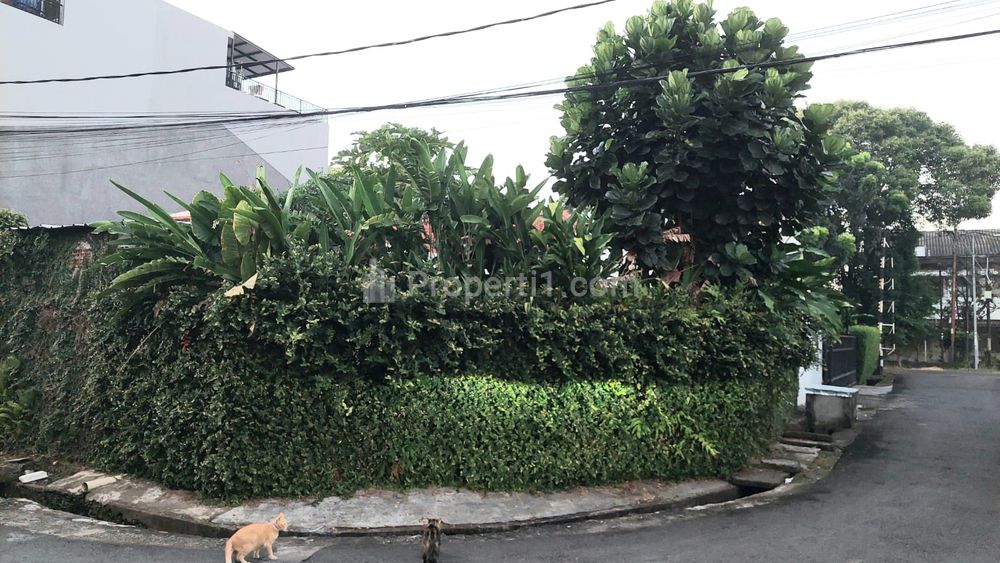Dijual Rumah 1 Lantai BU di Jalan Pancoran Timur, Pangadegan, Jakarta Selatan