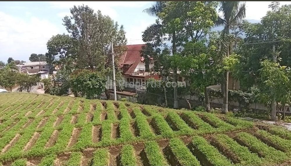 Dijual 4975 m2 Tanah BATU Jatim di Jalan Raya Tulungrejo - Bumiaji - Nol Jalan cocok buat Segala Usaha