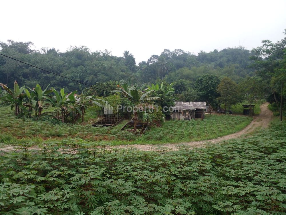 Dijual Tanah Kavling di Bogor, Dekat Puskesmas Gobang Harga 1 Jutaan Cicil 12x Bebas Bunga