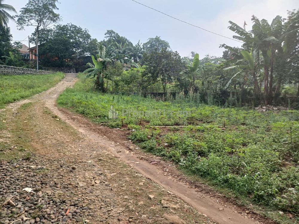 Jual Tanah Kavling 10 Menit Kampus IPB Dramaga, Cocok  untuk Kosan/Hunian, SHM