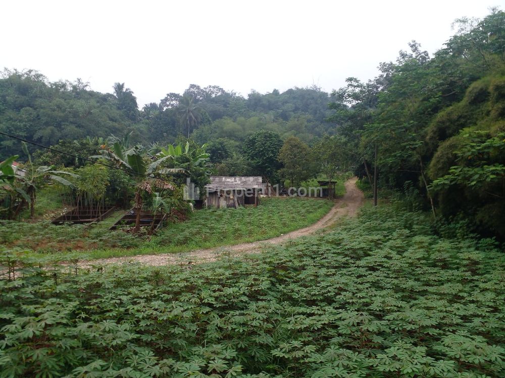 Jual Tanah Kavling 10 Menit Kampus IPB Dramaga, Cocok  untuk Kosan/Hunian, SHM