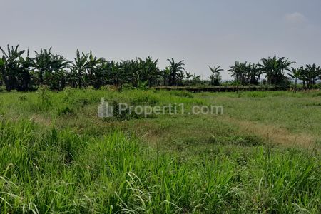 Dijual Tanah Murah 400 meter Kantor Desa Ciadea Bogor - Promo 900 Ribuan/m2