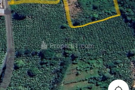 Dijual Tanah Kebun Produktif di Lumajang