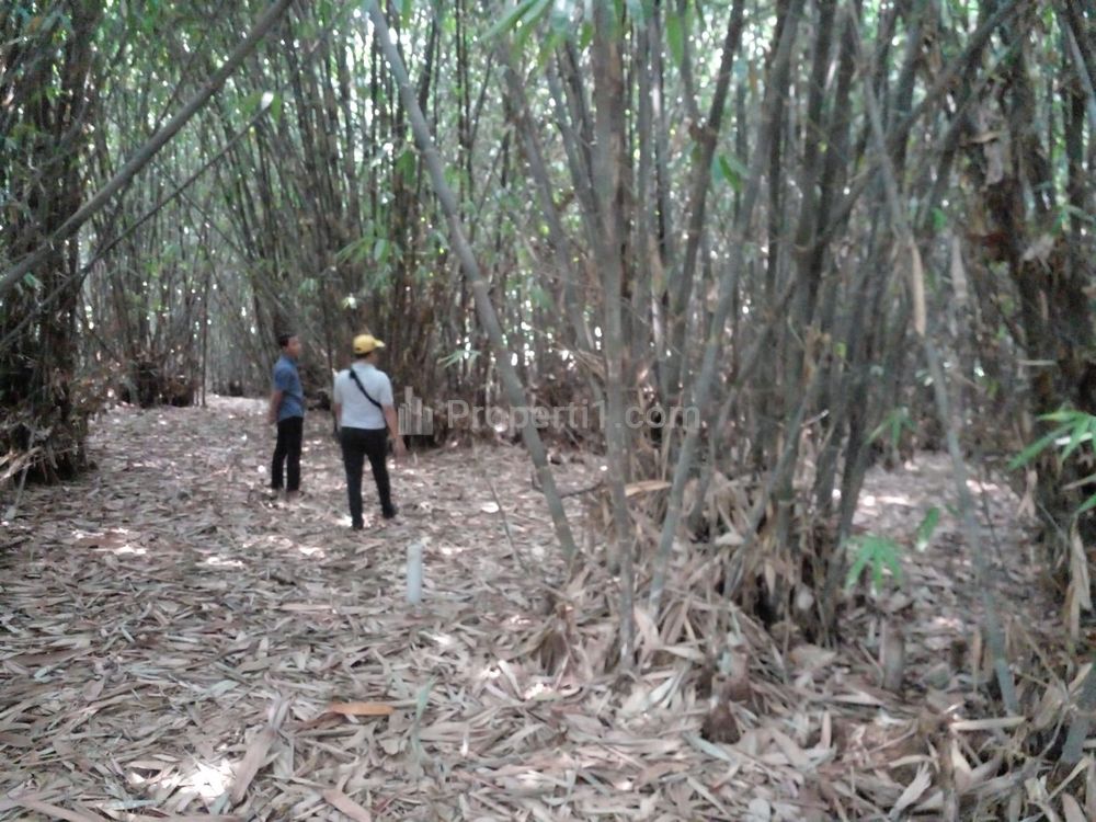 Jual Tanah Kavling Murah di Rumpin Bogor 900 Ribu/m2 Terima SHM Pecah Unit