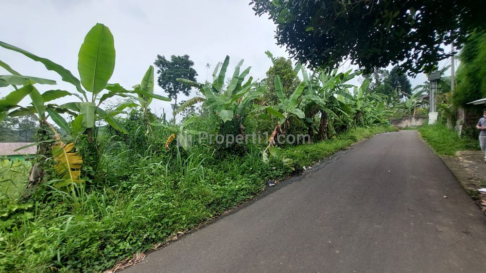 Dijual Tanah Kavling Murah Free SHM 10 Menit Jl. Raya Bogor-Sukabumi