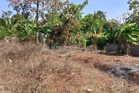 Dijual Tanah Mulawarman Tembalang Semarang, Cocok untuk Dibangun Kos Eksklusif atau Mini Cluster