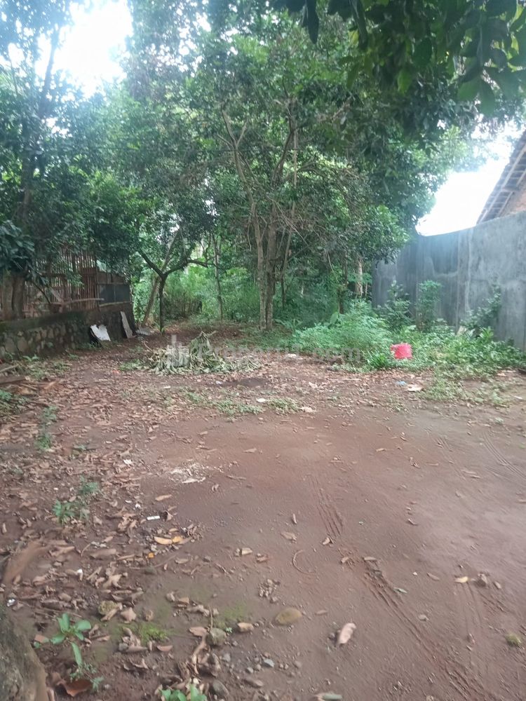 Dijual Cepat Tanah SHM Patemon Dekat Jln. Raya Gunungpati Ungaran, Semarang