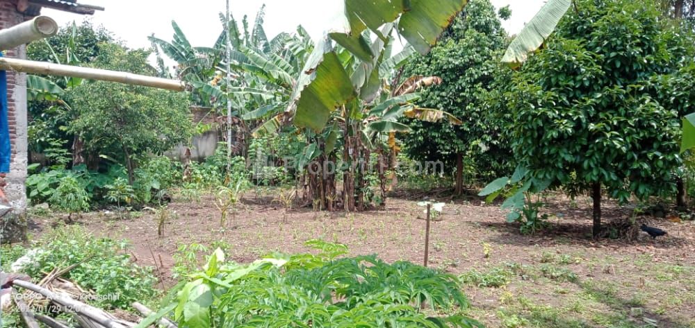 Jual Tanah 1050 m2 SHM di Purwokerto Selatan, Banyumas, Bisa Masuk Mobil