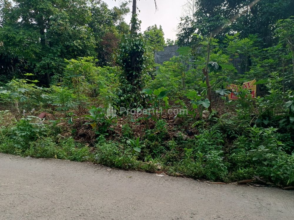 Dijual Tanah Kavling 11 Menit ke SMAN 1 Klapanunggal Bogor SHM Pasti