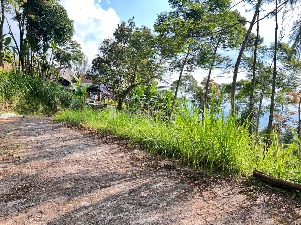 Dijual Tanah 2,9 ha Siap Bangun Wahana Wisata Kemuning Karanganyar