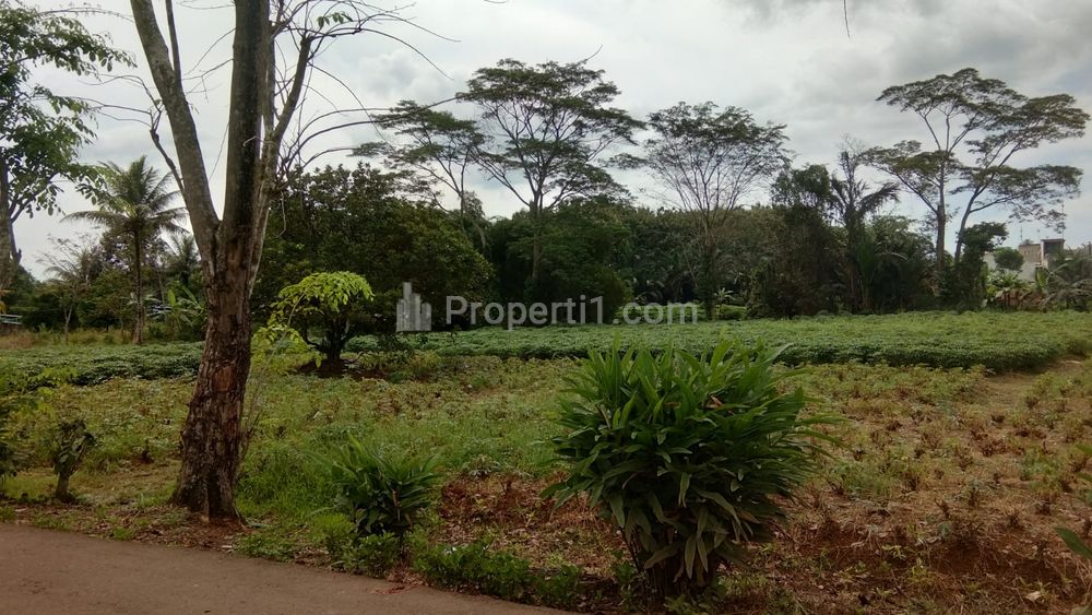 Jual Tanah Sertifikat 128 m2 di Jl. Raya Pabuaran, Ranca Bungur, Bogor