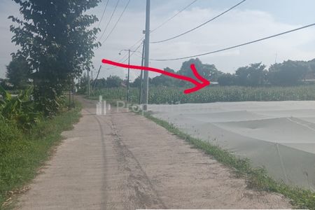 Dijual 7520 m2 Tanah di Probolinggo di Desa Tegal Rejo - Kec. Dringu - Kab. Probolinggo - JATIM Strategis Dekat Jalan Pantura, Pusat Kota Probolinggo