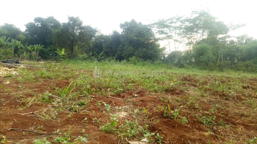 Jual Cepat Tanah Kavling Tajurhalang Indah Dekat Pasar Parung Bogor