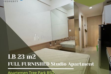 Sewa Tahunan Super Murah Apartemen Tree Park BSD Type Studio Furnished Cantik, City View, Only @35 Jt/Tahun, Bisa Bulanan