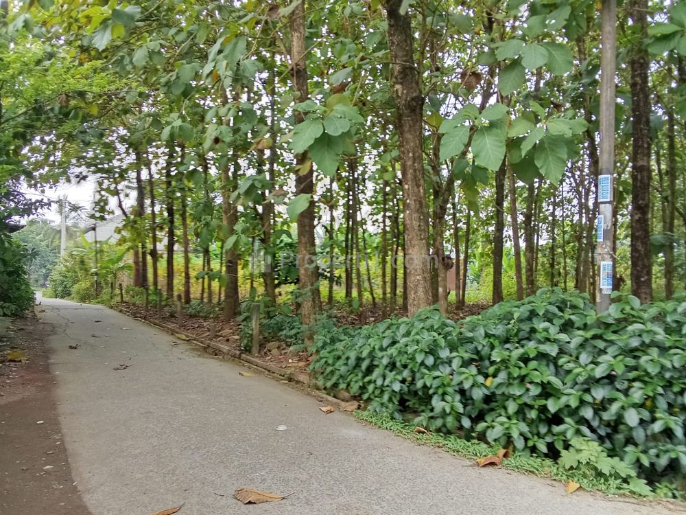Dijual Tanah Kavling Dekat Stasiun Parung Panjang Harga 2,2 Jutaan Per Meter