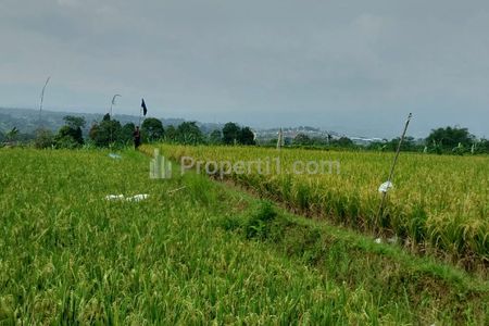 Dijual Villa & Kebun Prestisius with View Gunung di Cijeruk Bogor